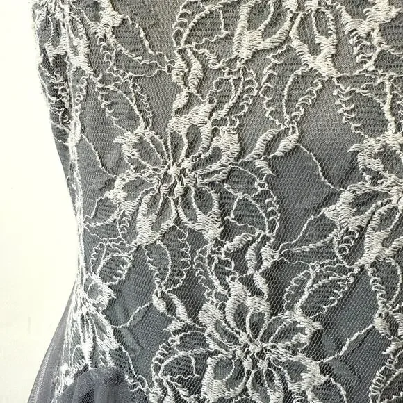 Ryu Gray Lace Tulle Fit Flare Dress L Prom Dance Romantic Balletcore Fairycore - Picture 3 of 12